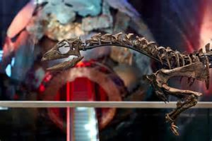 Unveiling The Enigma Of Jinx Spoilers: Discoveries And Insights