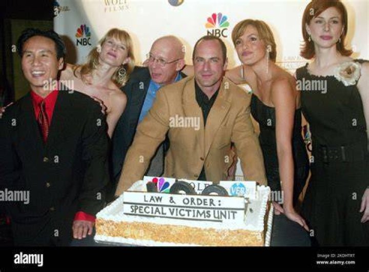 Unveiling The Enigmatic Diane Neal: From SVU To NOLA