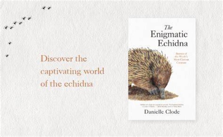 Unveiling The Enigmatic World Of Danielle Marsh: Discoveries And Insights