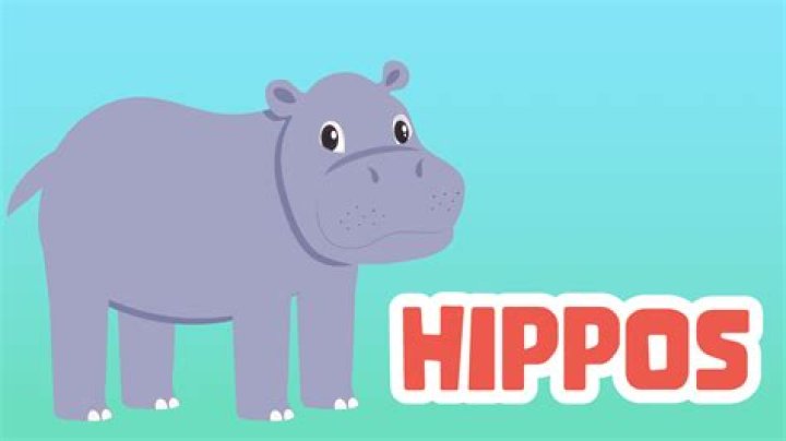 Unveiling The Excitement: 2 Hippos Captivate St. Lucia's Streets