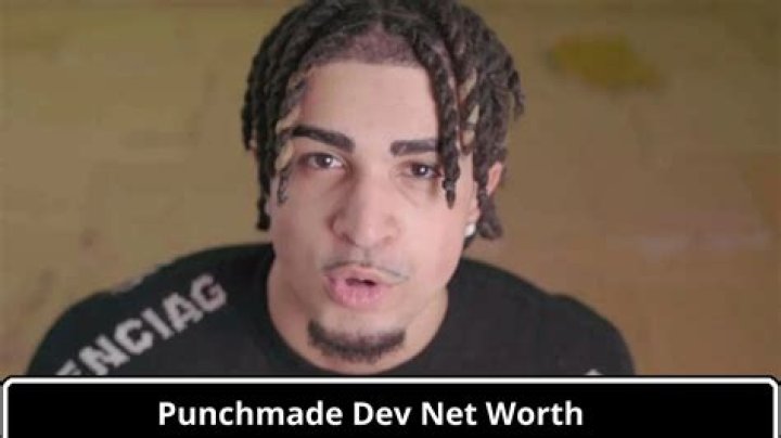 Unveiling The Identity And Impact Of Punchmade Dev