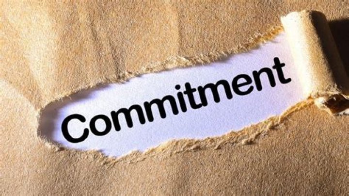 Unveiling The Love, Commitment, And Future Promise