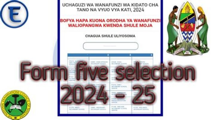 Unveiling The Path To Success: Form Five Selection 2024