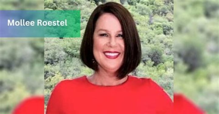 Unveiling The Real Estate Expertise Of Mollee Roestel