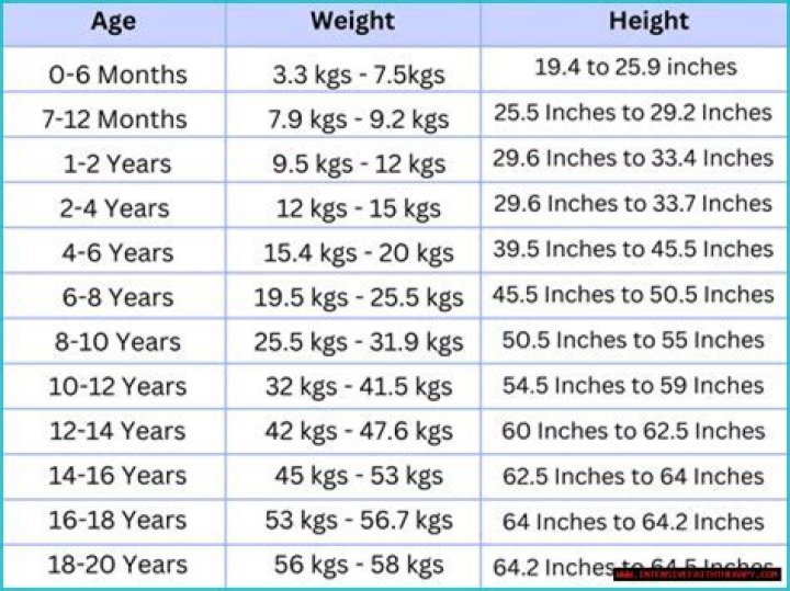 Unveiling The Secrets Of Height: Exploring Michelle Moyer's Stature