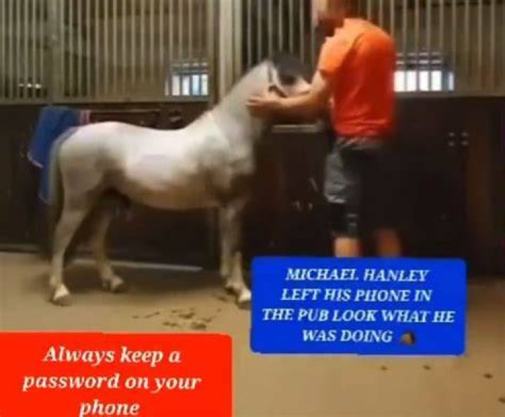 Unveiling The Truth Behind The Michael Hanley Horse Video