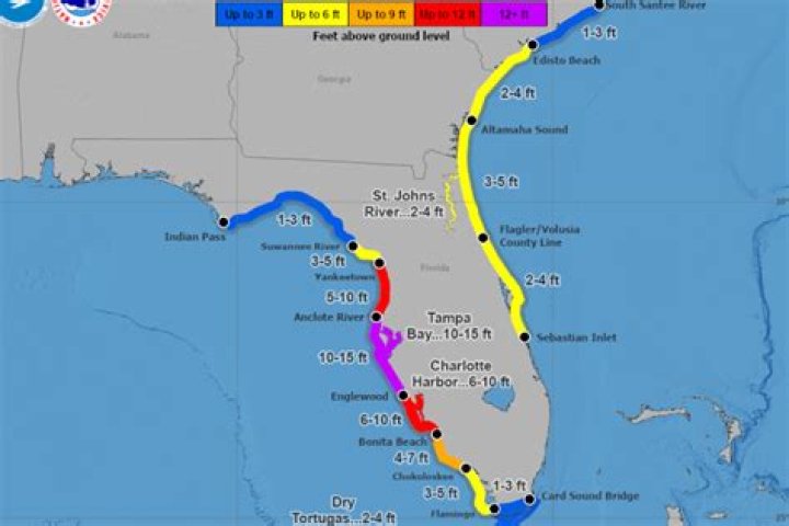 Update on Florida Blue CFMGMA