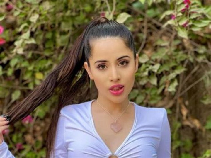 Urfi Javed complains of 'harassment' by a man in Punjabi industry