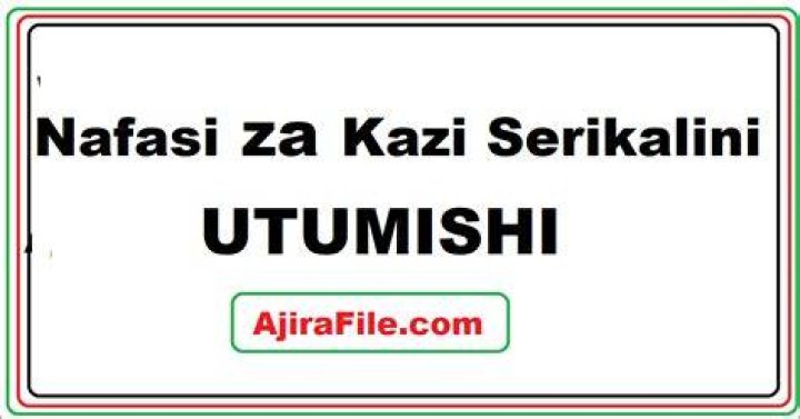 UTUMISHI Nafasi za Kazi Serikalini (Ajiraportal PSRS)October 2023