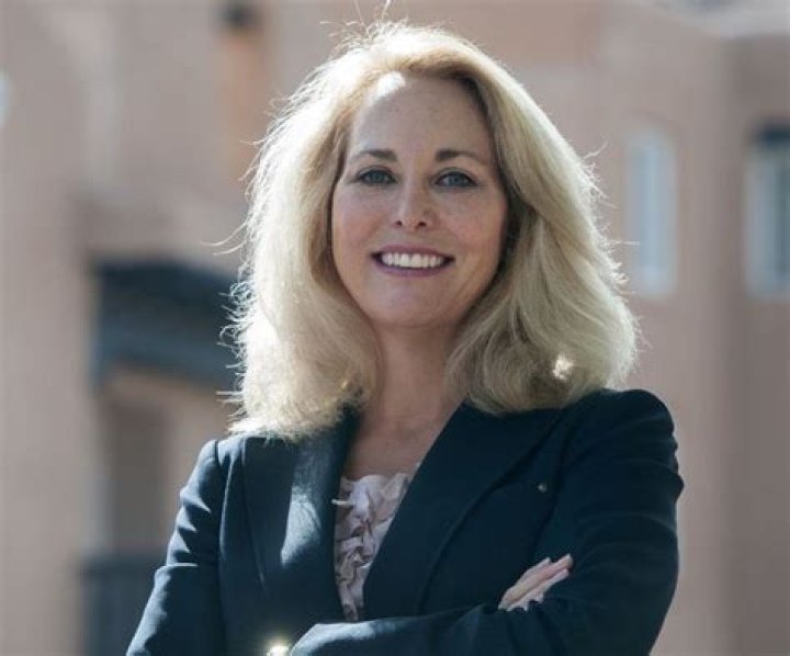 Valerie Plame Bio, Net Worth, Valerie Wilson, Plame for Congress, Ad