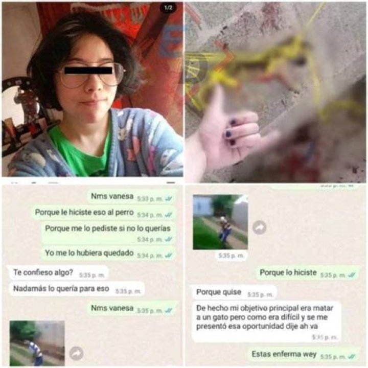 "vanessa Y Huellitas Fotos Reales"