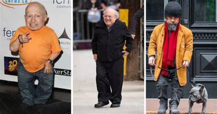 Verne Troyer Biography, Height & Life Story Super Stars Bio