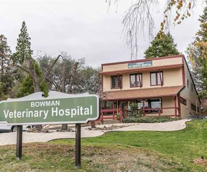 Veterinarian in Auburn, CA Bowman Veterinary Hospital