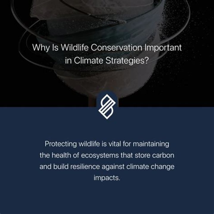 Vital Impacts for wildlife conservation