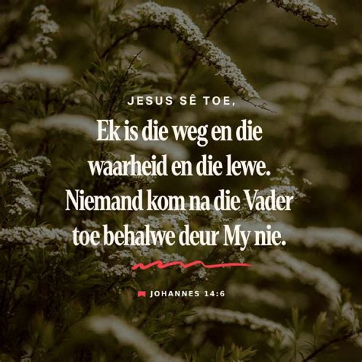 Voorsitter vat raak in die kombuis Die Pos