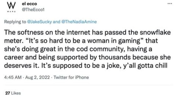 Warzone streamer calls out sexist viewers over viral TikTok “I will