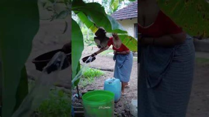 Watch Nila Nambiar Leaked Video Original The viral video titled &lsquo;Nila
