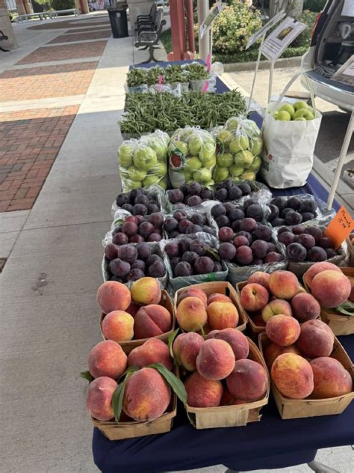 Wednesday & Friday Farmers Market San Francisco Fort Mason Center for
