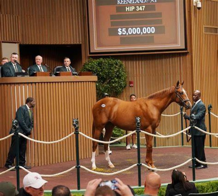 WellStocked for Keeneland September, There is Nothing Random about