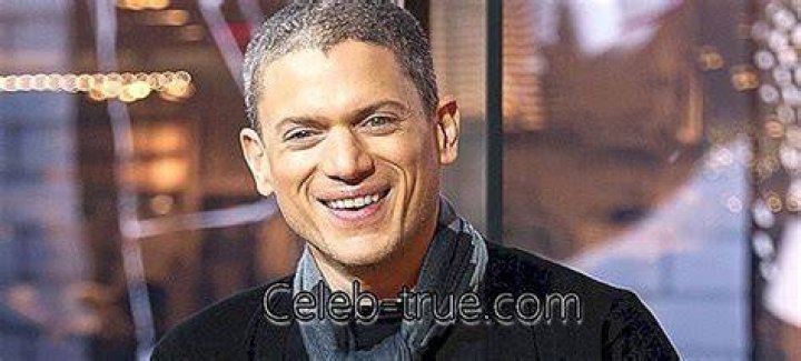 Wentworth Miller Biography Childhood, Life Achievements & Timeline