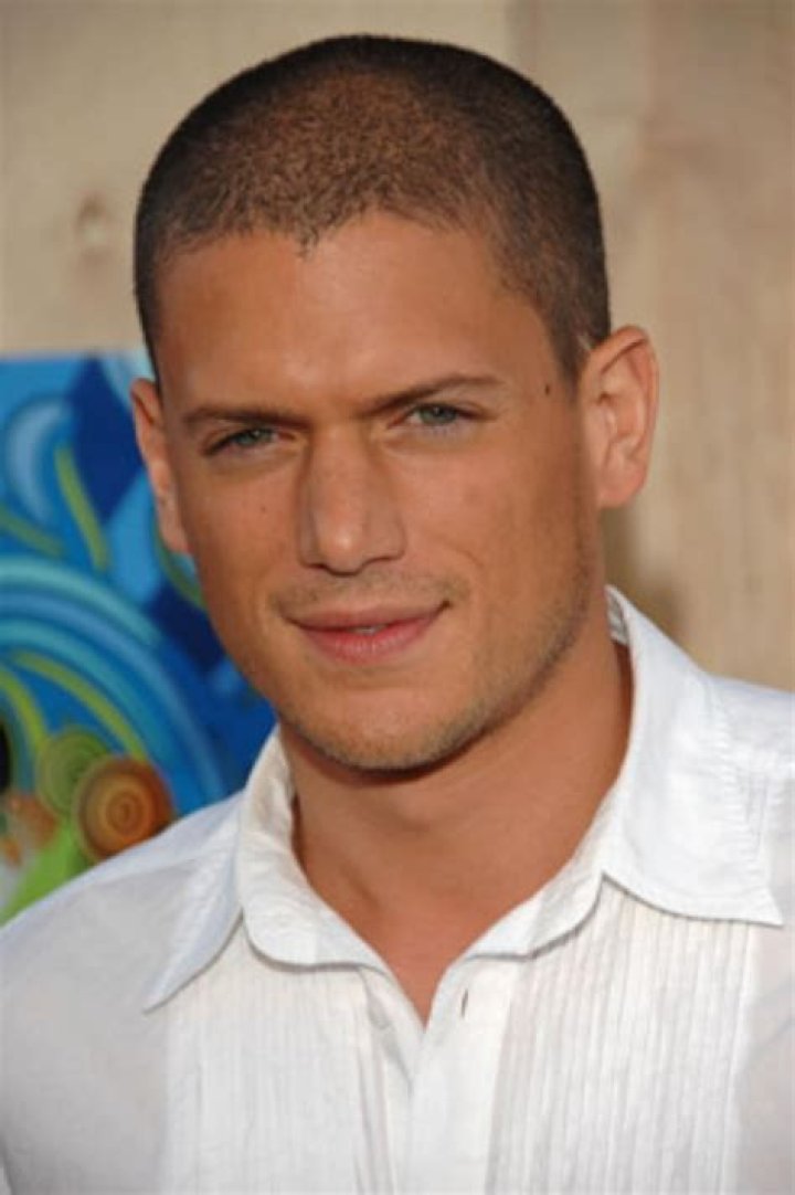 Wentworth Miller Biography