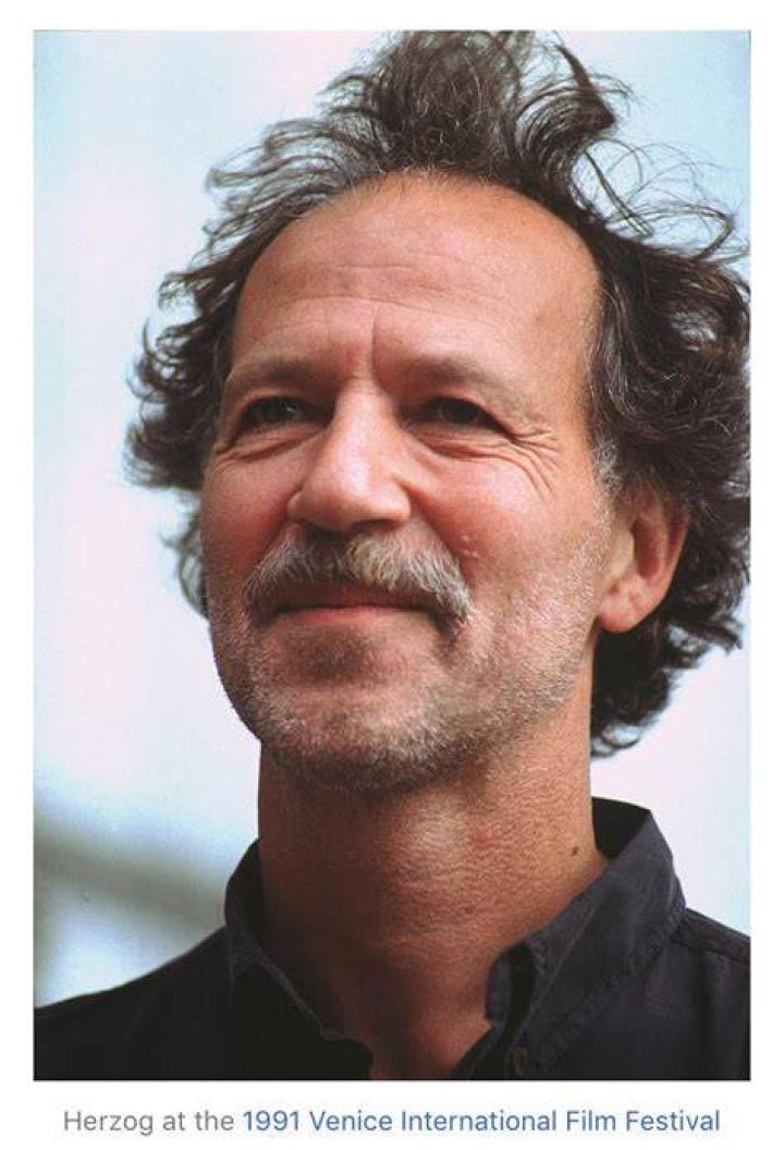 Werner Herzog 2017 Haircut, Beard, Eyes, Weight, Measurements, Tattoos