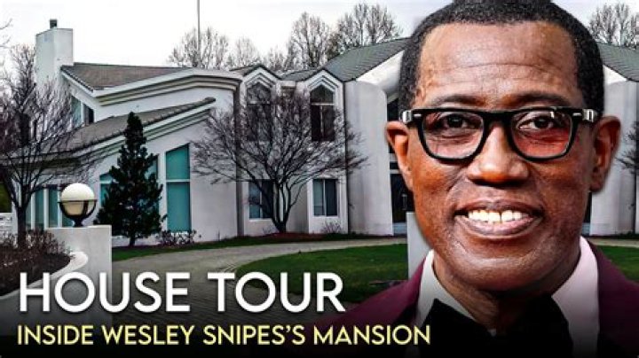 Wesley Snipes Net worth, House, Car, Salary, Wife & Family 2018 Muzul