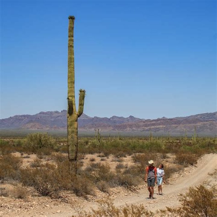 Western Arizona