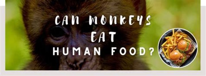 What animal eats the most humans?