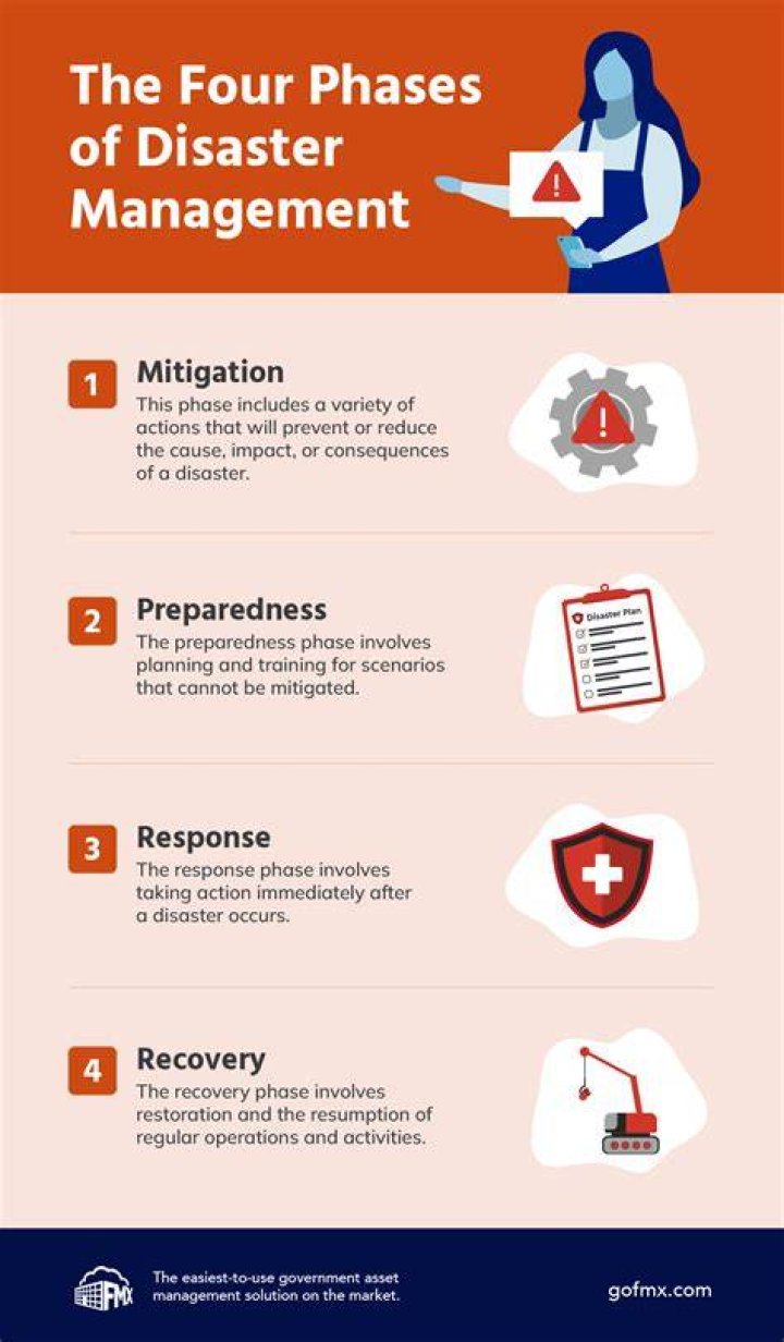 What are the 4 types of disaster management?