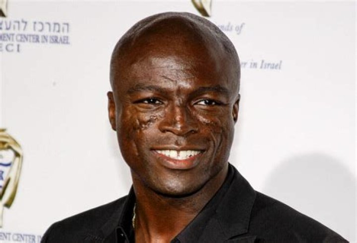 What Are the Scars on Seal's Face From? Our Pastimes
