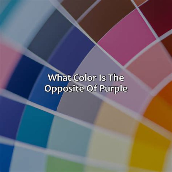 What Color Is the Opposite of Brown?
