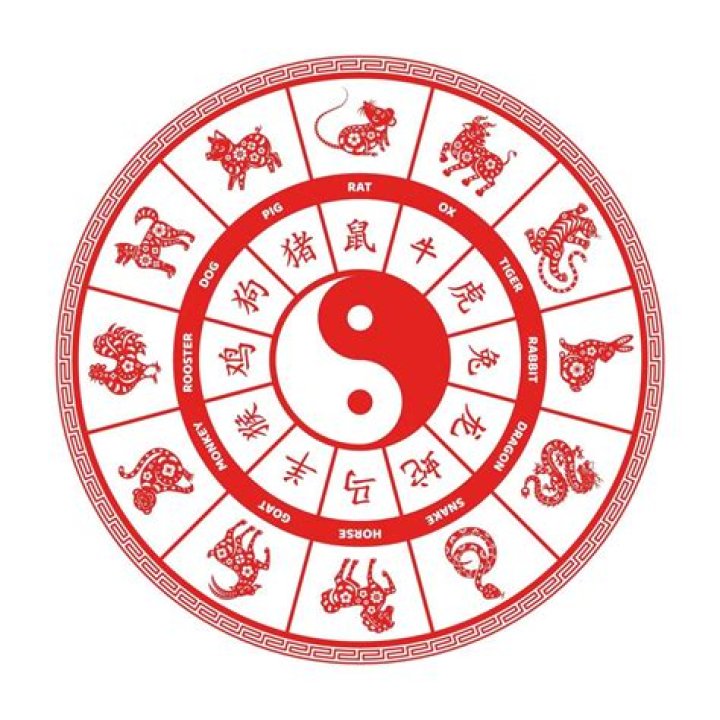 What do the Chinese Zodiac signs say about your favourite star