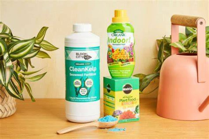 What is best fertilizer for flowering plants?