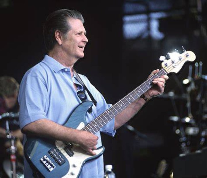 What is Brian Wilson's Net Worth? His Career & Earnings! OtakuKart