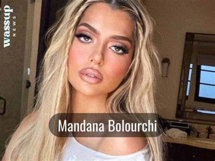 What is Mandana Bolourchi's Net Worth?
