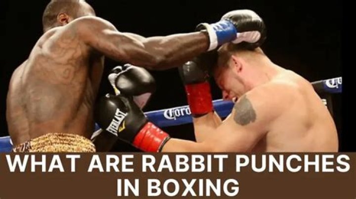 What Is Rabbit Punching in Boxing? Boxing Ready