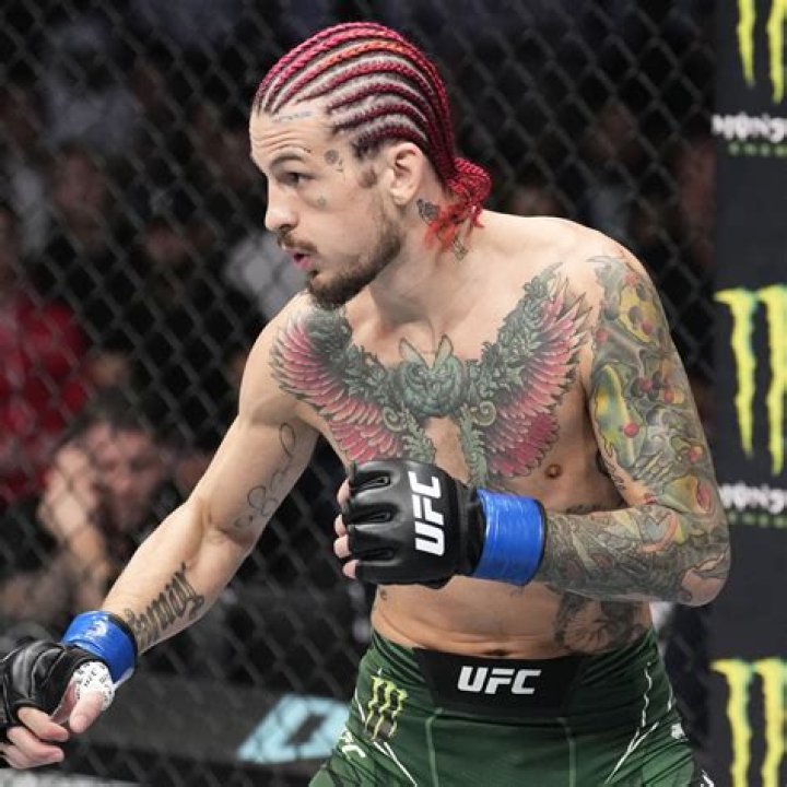 What is Sean O'Malley's weight class?