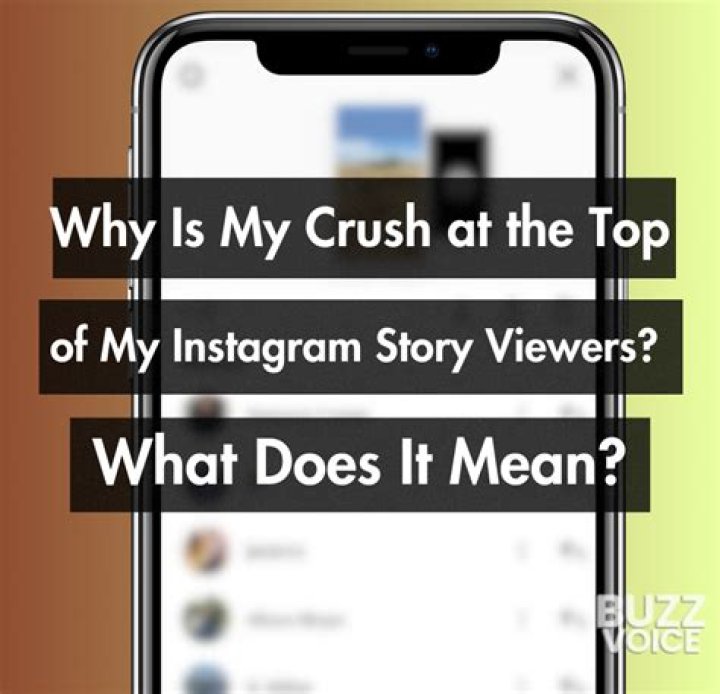 What is the Collive Instagram app? » Business to mark