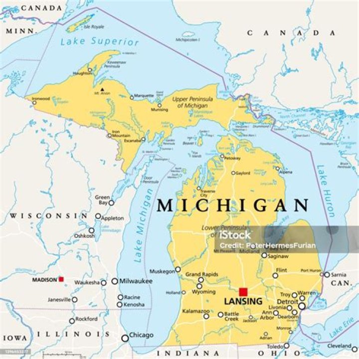What part of Michigan is Dax Shepard from?