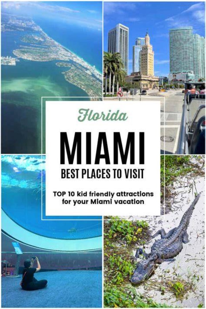 What To Order At Miami's Hottest New Destination Bayshore Club