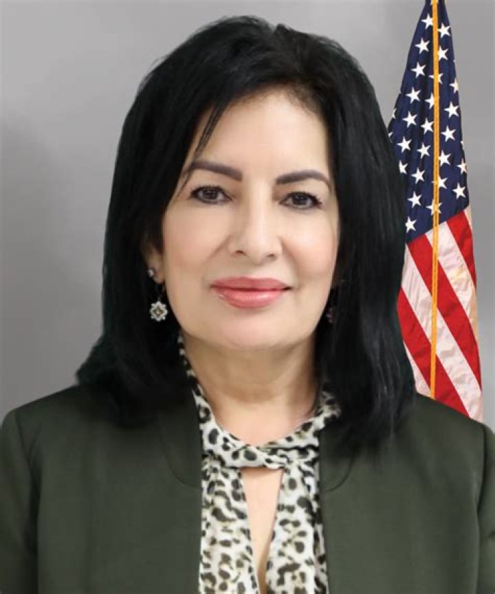 What Was Mercedes ISD Superintendent Carolyn Mendiola Arrested For