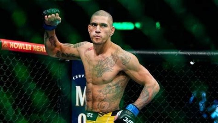 When Is Alex Pereira's Next Fight? BetMGM