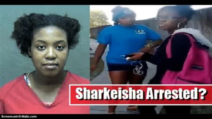 Where Is Sharkeisha Now? About The 2013 Viral Video Gripeo