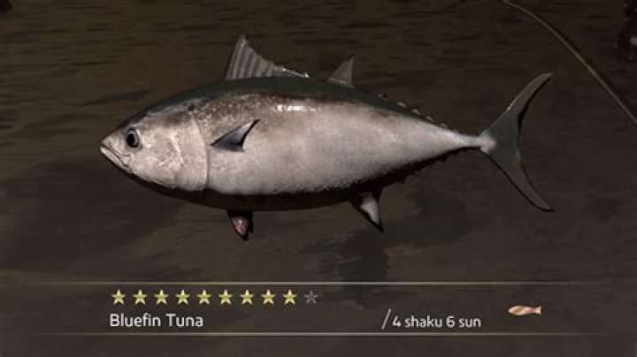 Where to find tuna in Disney Dreamlight Valley? Where to catch tuna in