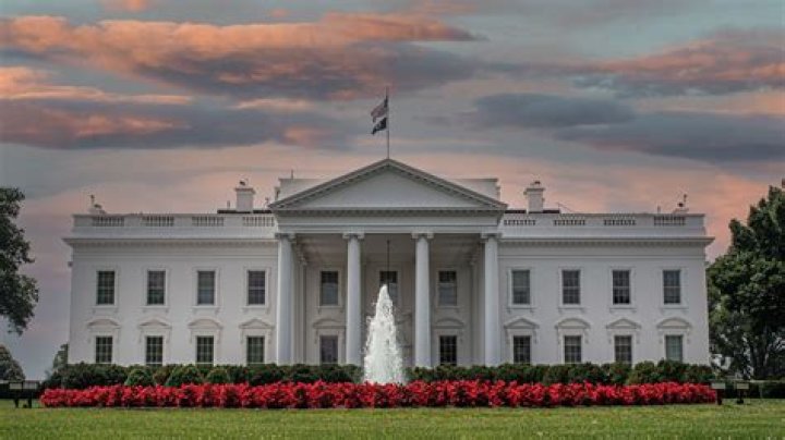 White House's Chef Rush Trains His 24" Arms with Mike O'Hearn Fitness