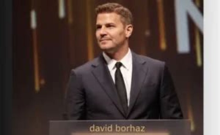 Who Is David Boreanaz's Wife Jamie Bergman, And What Does She Do?