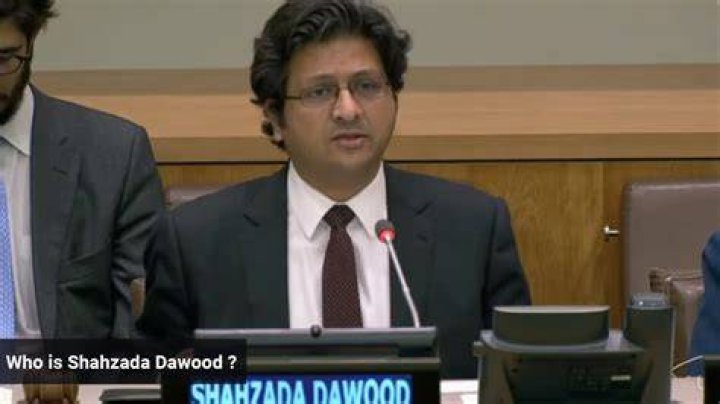 Who is Shahzada Dawood's daughter, Alina Dawood? Biography, Age, Family