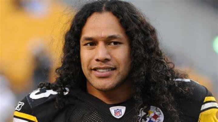Who is Troy Polamalu's Wife Theodora Holmes? Her Net Worth
