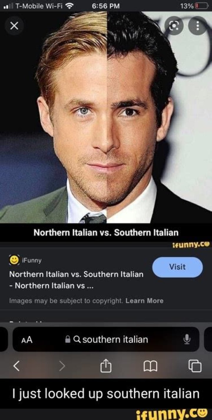Who looks more South Italian Lea Michele or Leah Remini?